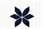 Logo for Triton Marine Electronics, an abstract symbol resembling a trident or signal wave.